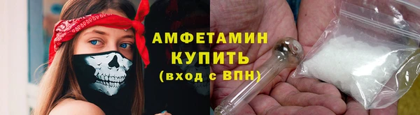сатива Коряжма