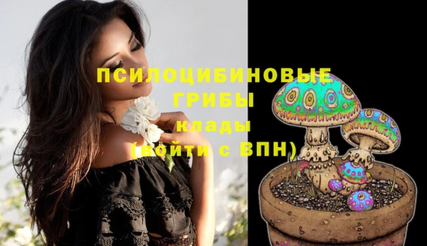 кокаин колумбия Новозыбков