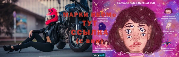 винт Новокубанск