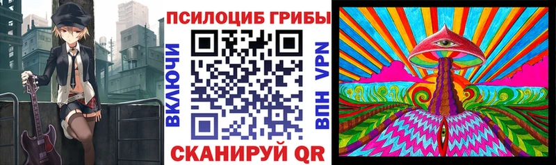 Галлюциногенные грибы Psilocybine cubensis  Багратионовск 